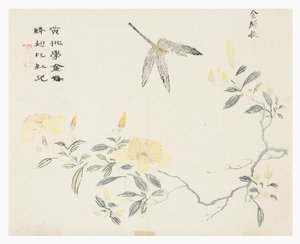 Sennepsfrøhage av Chinese School