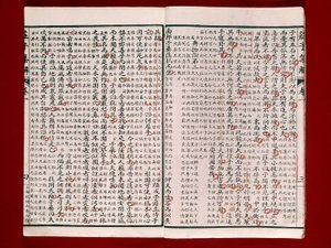 Side fra en poesibok av Chuang-Tzu (blekk på papir) av Chinese School