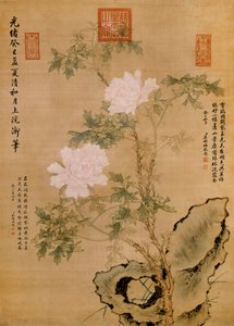 Peonies and Rock, 1893 av Chinese School