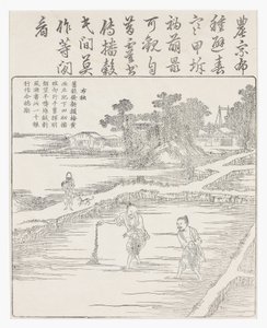 Såing av risen i et frøbed., 1700-tallet av Chinese School