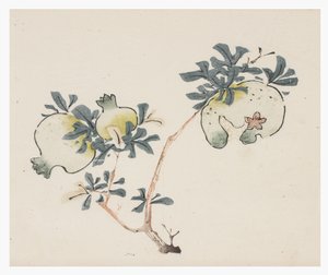 Ten Bamboo Series, 1700-tallet av Chinese School