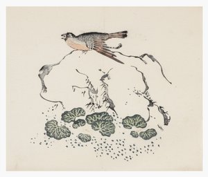 Ten Bamboo Series, 1700-tallet av Chinese School