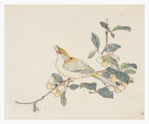 Ten Bamboo Series, 1700-tallet av Chinese School