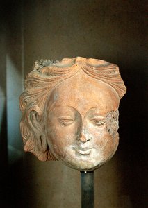 Hodet for en stor Bodhisattva (terrakotta) av Chinese School Chinese School