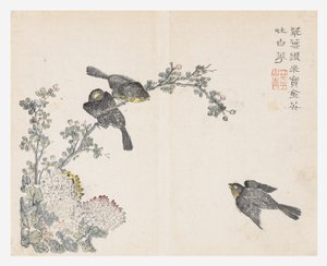 Sennepsfrøhage av Ching yu Chiu