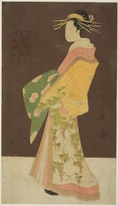Et nettsted fra en butikk: Hanamurasaki av Tamaya figur) av Chobunsai Eishi