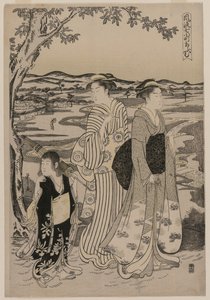 Omu the Parrot (fra serien Seven Elegant Episodes from the Life of the Poetess Ono no Komachi)