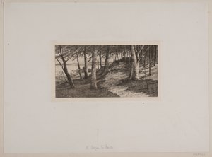 Fra Maribo av Chr. Benzon