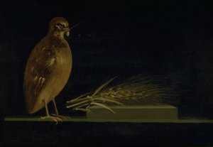 En vaktel som spiser et korn av Christen Købke