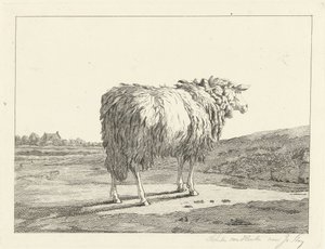 Sauer i et landskap av Christiaan Godfried Schutze van Houten