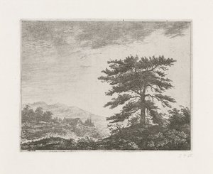Tre i et lyngheilandskap