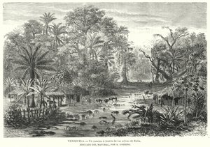 Vei gjennom jungelen i Zulia, Venezuela (litho) av Christian Anton Goering