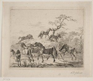 Stutteriheste