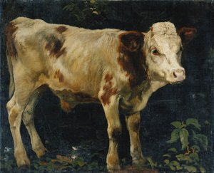 En oksekalv, 1876