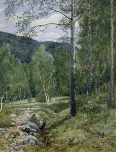 Vår i skogen (akvarell på papir)
