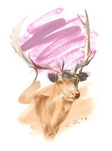 Hjortehode - Cerise Sienna, 2004 (olje og conte på papir) av Christian Furr