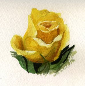 Gul rose, 2009 (akvarell på papir) av Christian Furr
