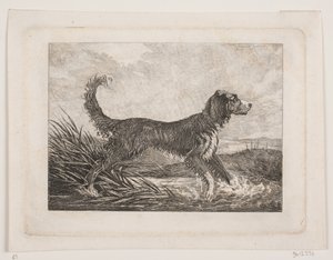 En hund av Christian Holm