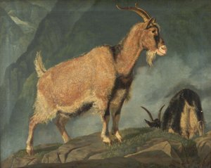 Geiter i Alpene av Christian Holm