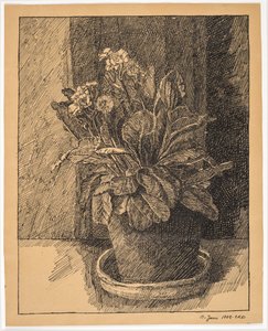 Blomsterpotte med primula av Christian Kongstad Petersen