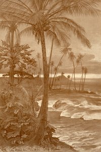Stranden ved Waikiki, Hawaii, 1898.