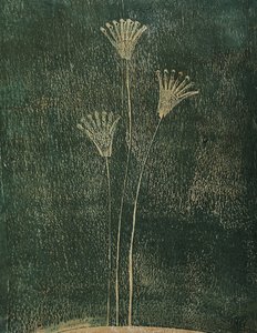  av Christina Misuro