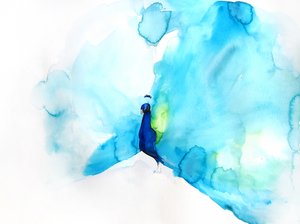  av Christine Lindstrom