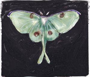  av Christine Lindstrom