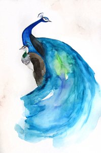  av Christine Lindstrom