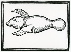 En fisk kalt 