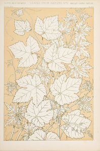 Blader fra naturen, 1868 (chromolitho) av Christopher Dresser