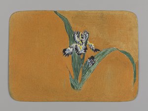 Iris (wc på papir)