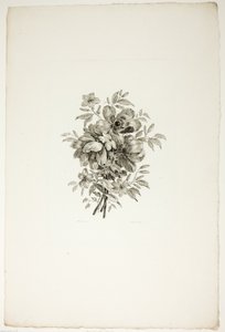  av Christopher Norton