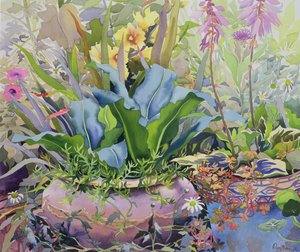 Hage med planter, 2000 (wc på papir) av Christopher Ryland