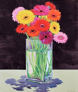 Gerbera (akvarell på papir)