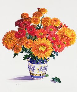 Oktoberkrysantemum (wc på papir) av Christopher Ryland