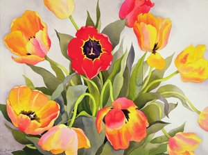 Oransje og røde tulipaner (wc) av Christopher Ryland