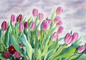 Tulipaner ved vindu (akvarell på papir)