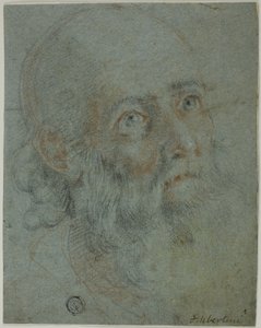 Leder for en skjegget mann, ser opp til høyre: Studie for Saint Catherine of Alexandria som diskuterer med de hedenske prestene av Cigoli