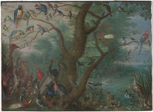 Konsert av fugler av Circle of Jan van Kessel the Elder