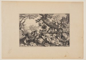  av Claes Jansz. Visscher