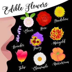 Spiselige blomster av Claire Huntley