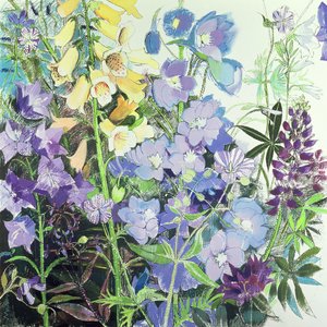 Delphiniums og revehansker