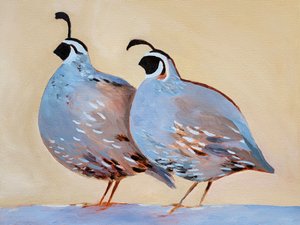  av Claire Whitehead