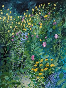 En fargerik sommerhage av Claire Whitehead