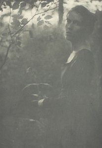 Edge of Woods, ca. 1899.