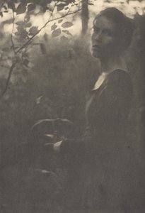 Edge of the Woods, kveld, 1900.