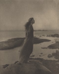 Rose pastor Stokes av Clarence H. White