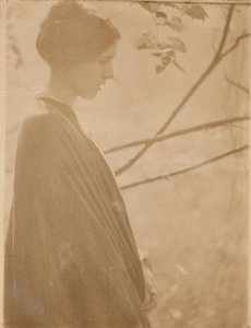 Sollys av Clarence H. White