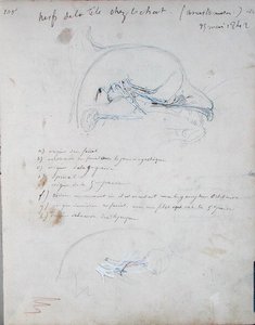 Nervesystemet i hodet til en katt, mai 1842 (blyant på papir) av Claude Bernard
